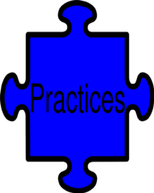 puzzle piece labeled practices